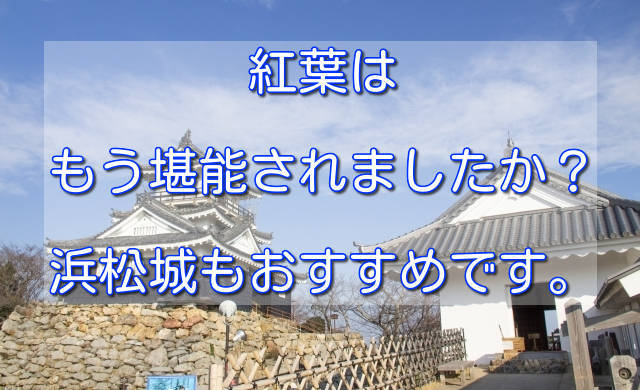 紅葉はもう堪能されましたか 浜松城もおすすめです Sannigoのアラカン日記