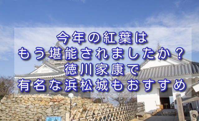 今年の紅葉はもう堪能されましたか 徳川家康で有名な浜松城もおすすめ Sannigoのアラカン日記