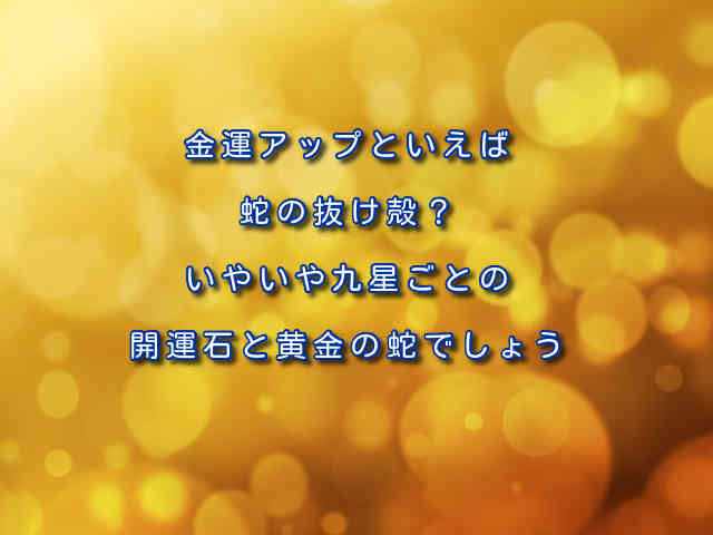 金運アップといえば蛇の抜け殻 いやいや九星ごとの開運石と黄金の蛇でしょう Sannigoのアラ還日記