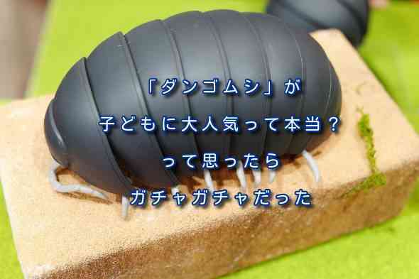 ダンゴムシ が子どもに大人気って本当 って思ったらガチャガチャだった Sannigoのアラ還日記 ダンゴムシ が子どもに大人気って本当 って思ったらガチャガチャだった Sannigoのアラ還日記