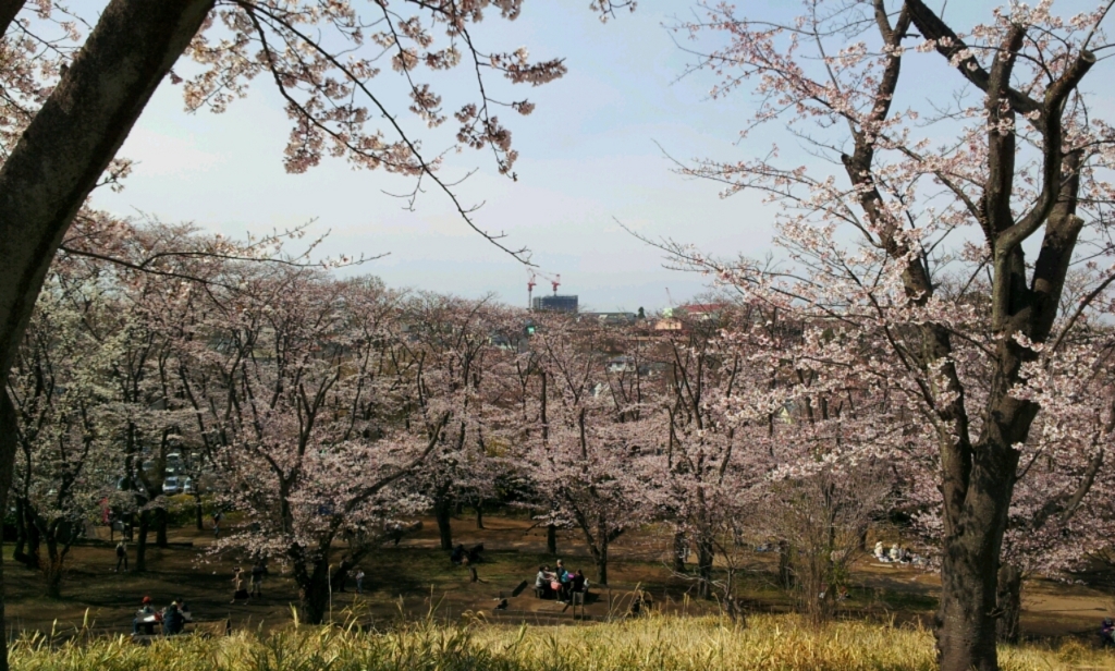 f:id:sano8107:20170406183201j:plain