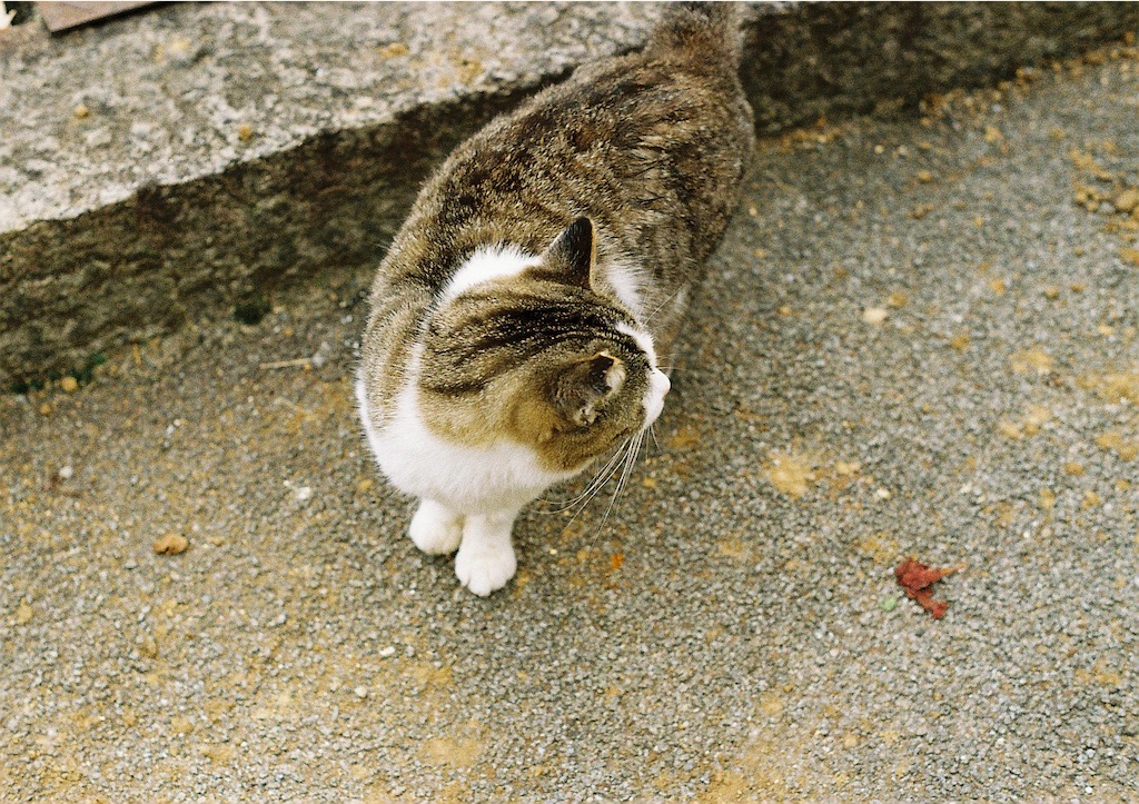 f:id:sano_3110:20220220132729j:image