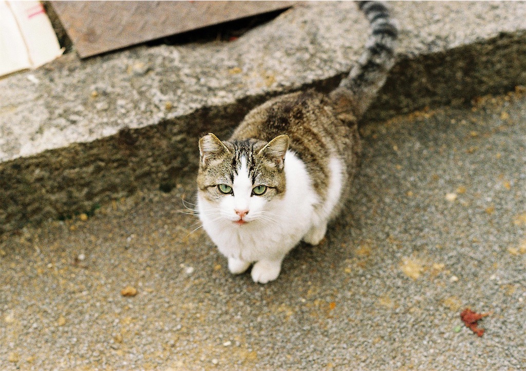 f:id:sano_3110:20220220132735j:image