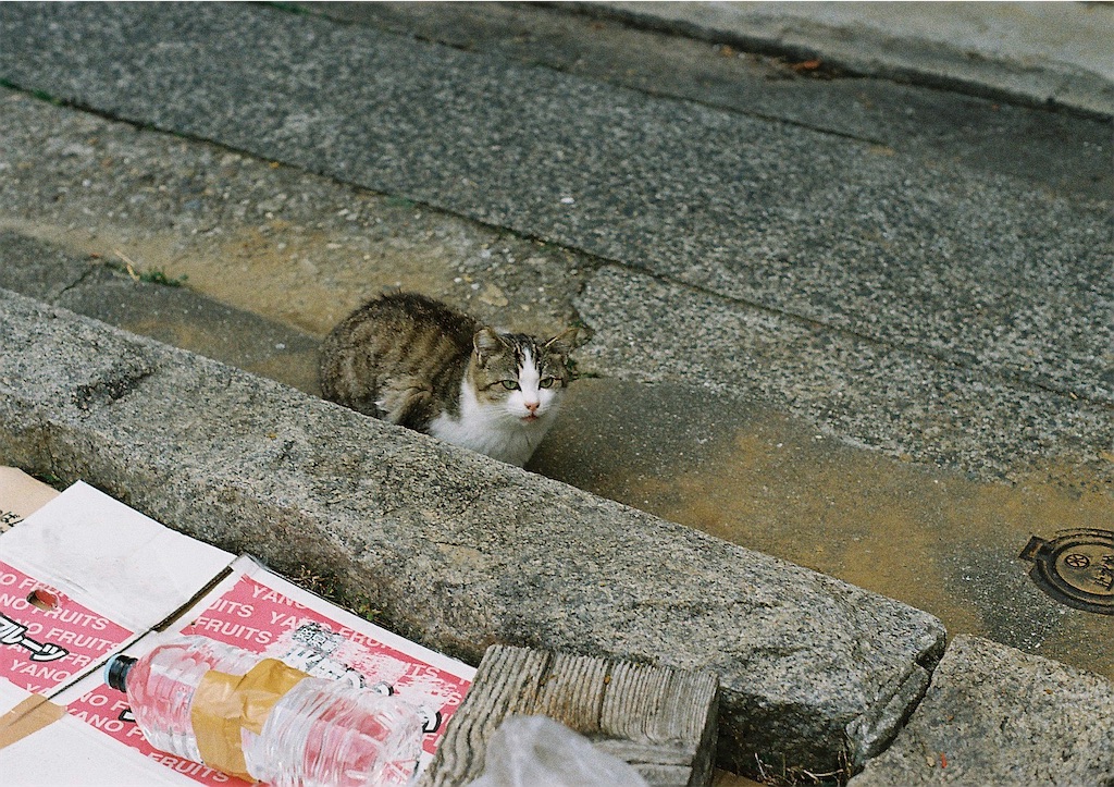 f:id:sano_3110:20220220132737j:image