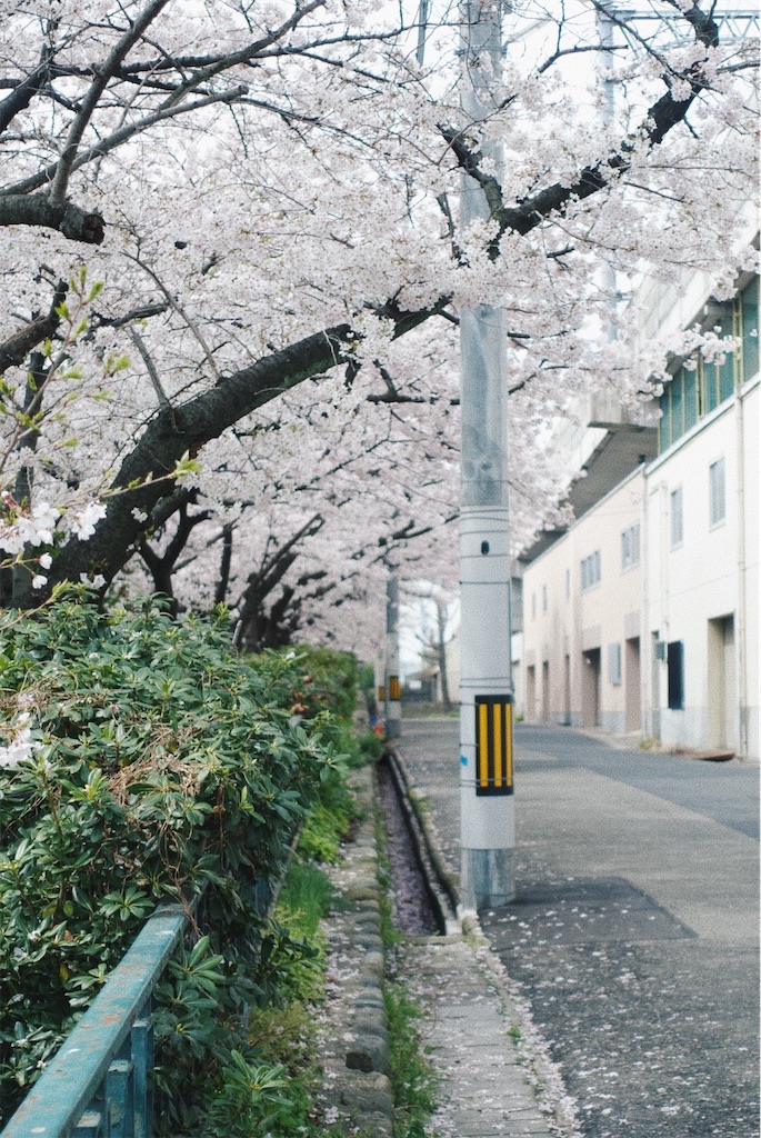 f:id:sano_3110:20220505215801j:image