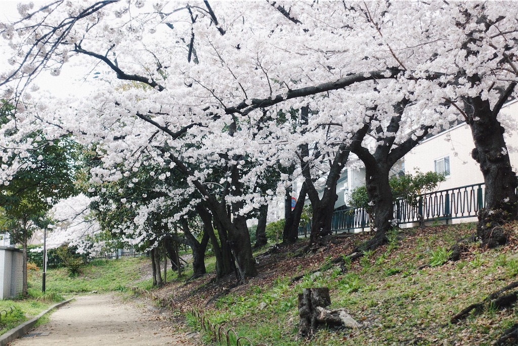 f:id:sano_3110:20220505215805j:image