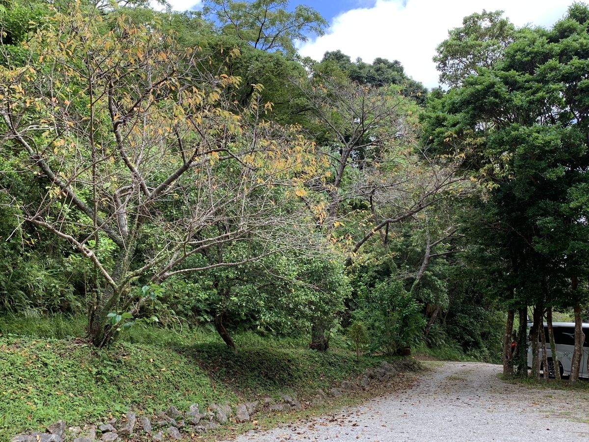 f:id:sanpei808:20201013193753j:plain