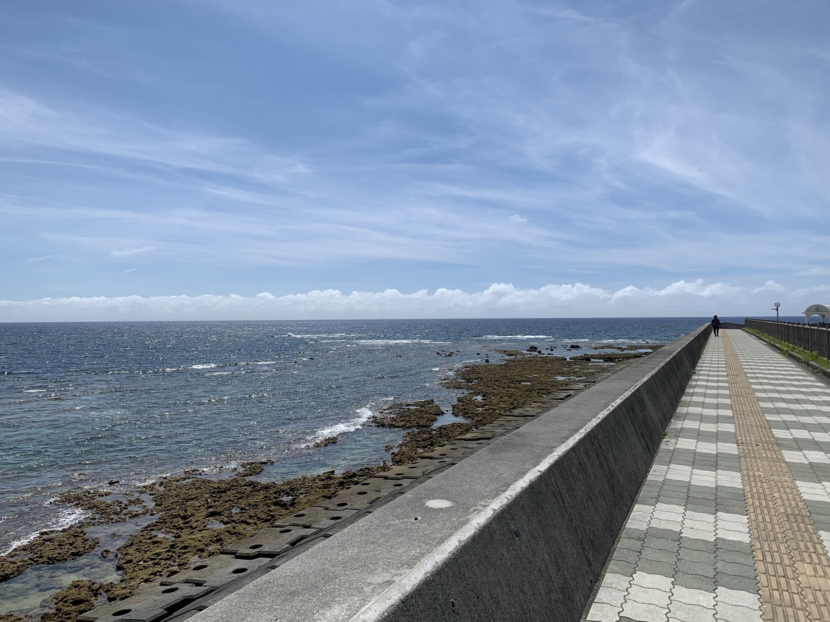 f:id:sanpei808:20210517072648j:plain