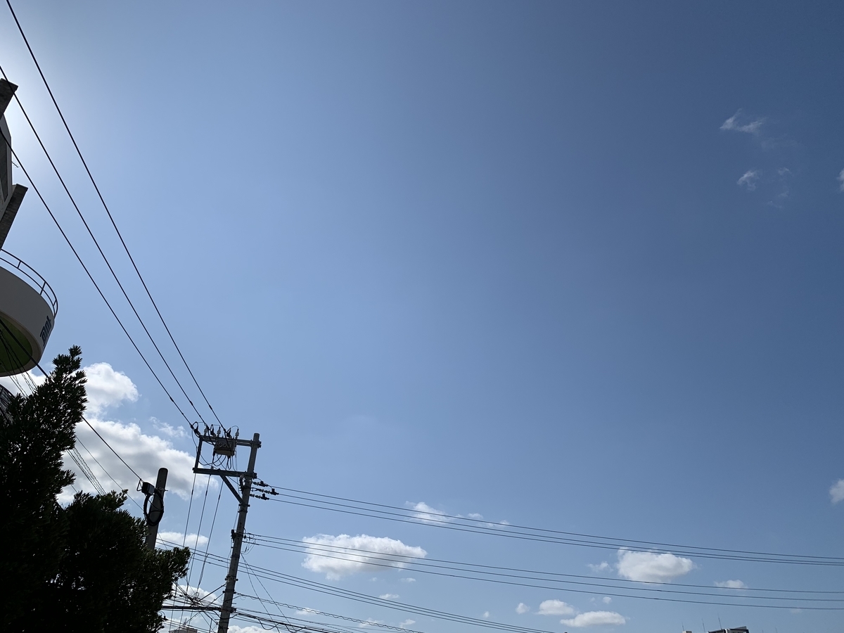 f:id:sanpei808:20210603082612j:plain
