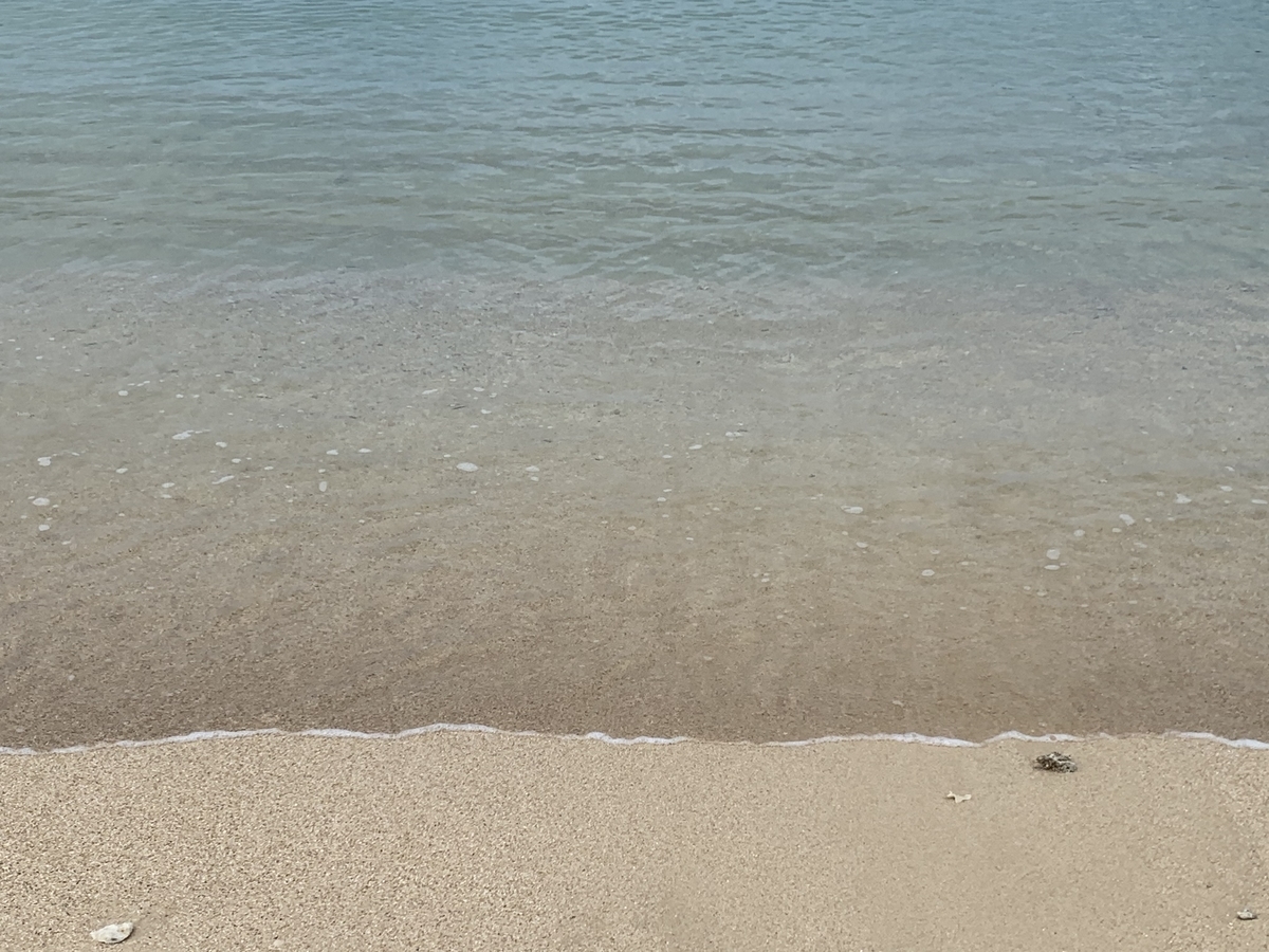f:id:sanpei808:20210609055431j:plain