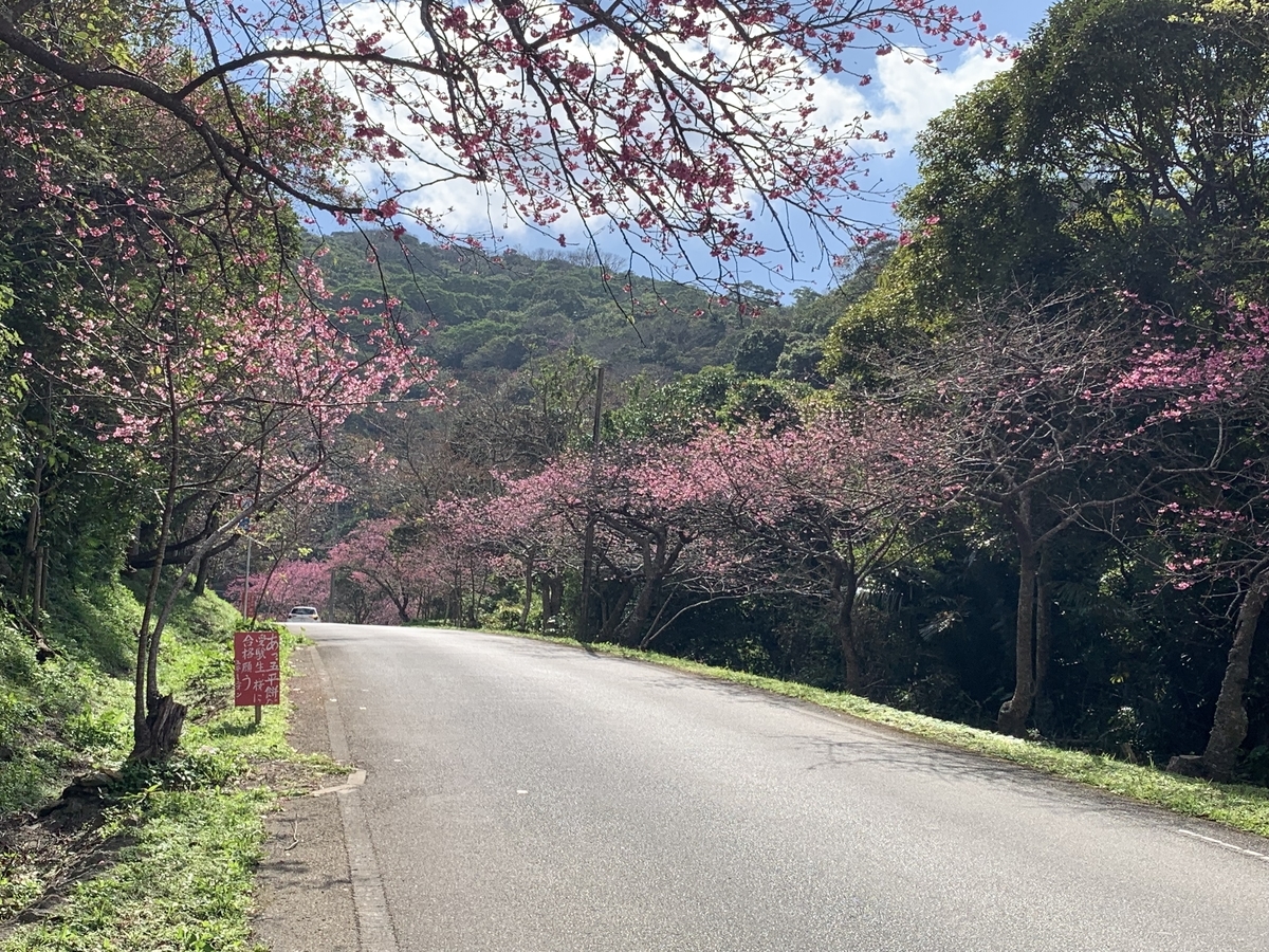 f:id:sanpei808:20220121145541j:plain