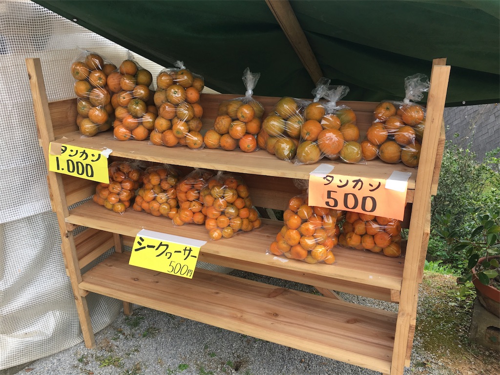 f:id:sanpinchan:20170204182038j:image