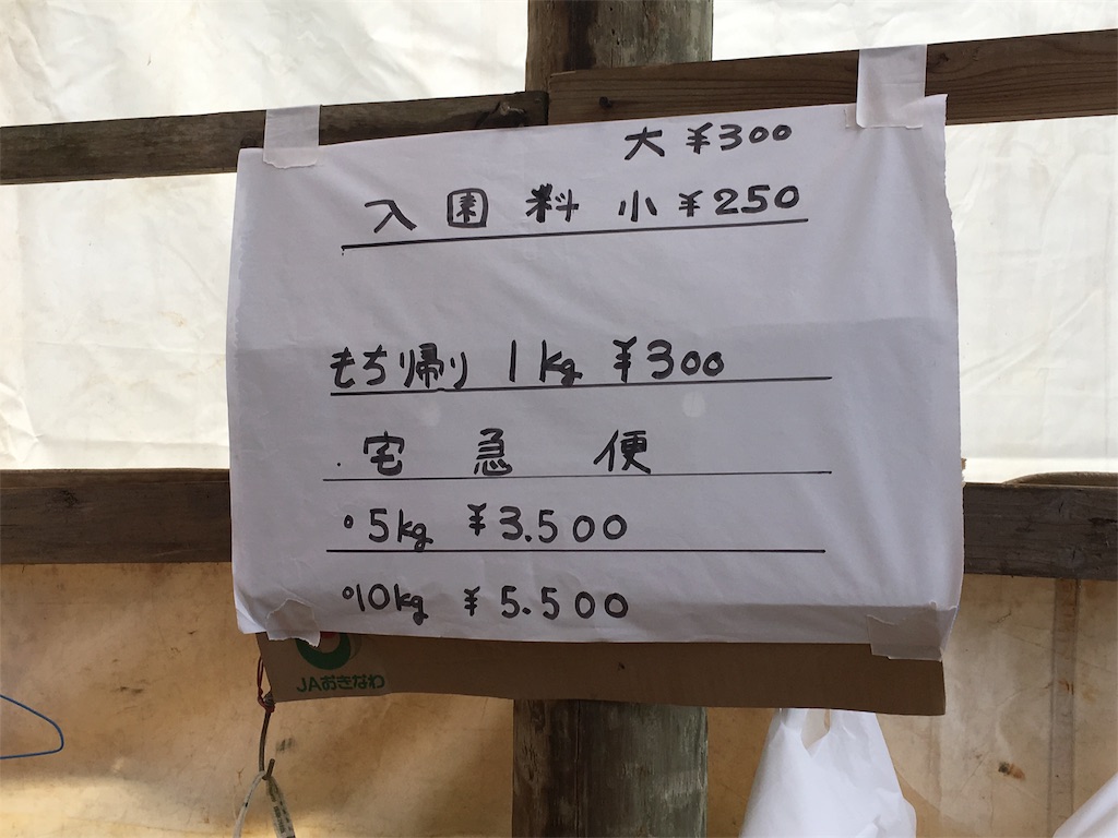 f:id:sanpinchan:20170204182100j:image