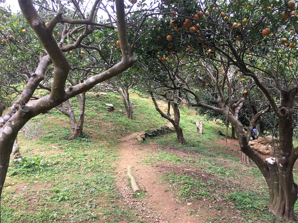 f:id:sanpinchan:20170204182130j:image