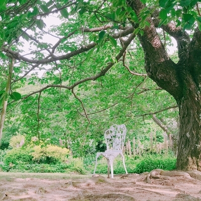 f:id:sanpo_kurashi:20200628014910j:plain f:id:sanpo_kurashi:20200628014910j:plain