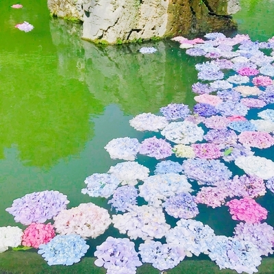 f:id:sanpo_kurashi:20200708023029j:plain f:id:sanpo_kurashi:20200708023029j:plain