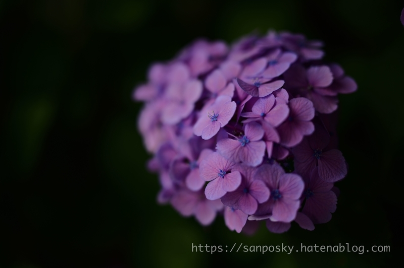 f:id:sanposky:20210620221449j:plain