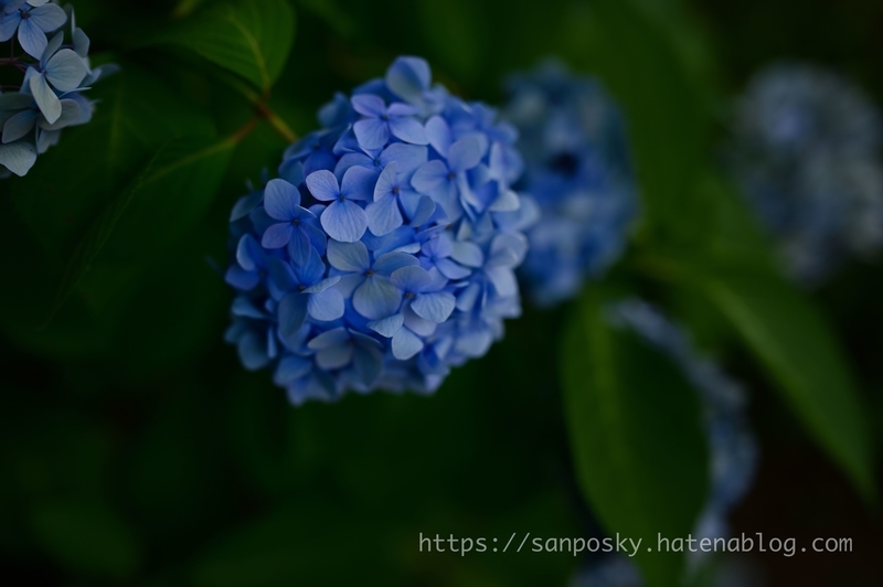 f:id:sanposky:20210620221507j:plain