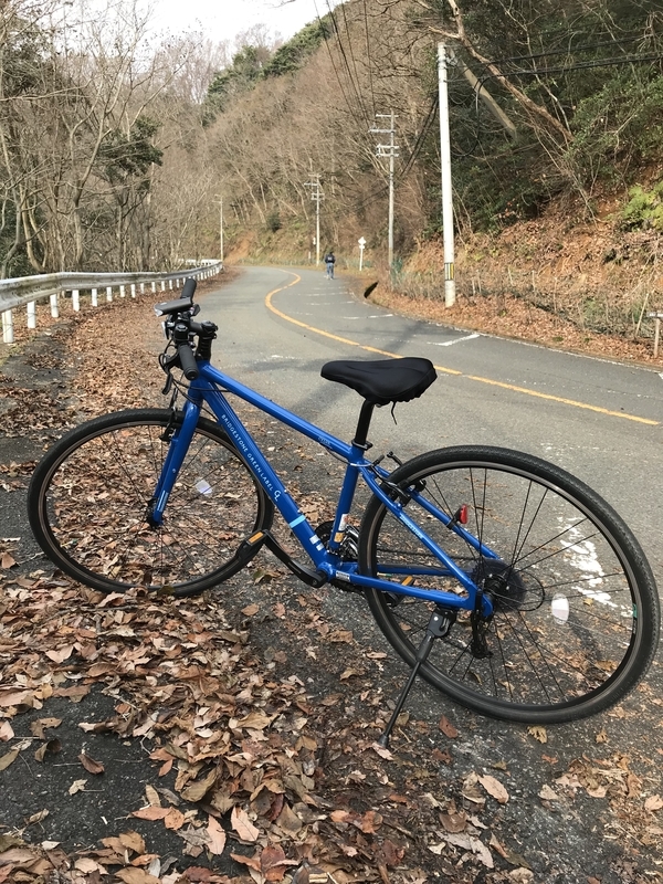 f:id:sanpoukai:20190108100601j:plain