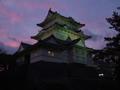 [夜景][城郭]小田原城天守（ライトアップ）