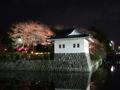 [夜景][城郭][桜]小田原城二の丸隅櫓（ライトアップ）