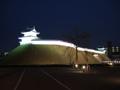 [夜景][城郭]宇都宮城址公園（ライトアップ）