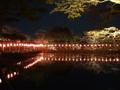 [夜景]霞ヶ城公園霞ヶ池（ライトアップ）