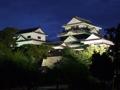 [夜景][城郭]伊予松山城本壇（ライトアップ）