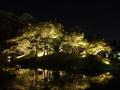 [夜景][庭園]玄宮園（ライトアップ）