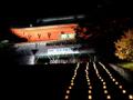 [夜景][寺社]輪王寺三仏堂（ライトアップ）