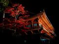 [夜景][寺社][紅葉]輪王寺護摩堂と紅葉（ライトアップ）