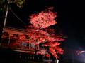 [夜景][寺社][紅葉]輪王寺護摩堂と紅葉（ライトアップ）