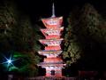 [夜景][寺社]日光東照宮五重塔（ライトアップ）