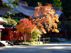 二荒山神社の紅葉