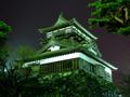 [夜景][城郭]丸岡城天守（ライトアップ）