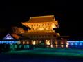 [夜景][寺社]瑞龍寺山門（ライトアップ）