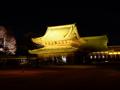 [夜景][寺社]瑞龍寺仏殿（ライトアップ金色）