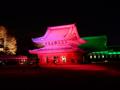 [夜景][寺社]瑞龍寺仏殿（ライトアップ桃色）