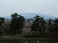 [眺望]弘前城本丸から岩木山