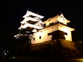 [夜景][城郭]大洲城天守及び高欄櫓（ライトアップ）