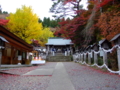 [寺社][紅葉]南湖神社