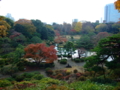 [庭園][眺望]六義園の藤代峠から園内を眺める