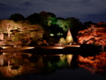 [夜景][紅葉]六義園ライトアップ