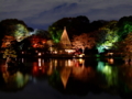 [夜景][紅葉]六義園ライトアップ