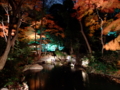 [夜景][紅葉]六義園ライトアップ