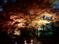 [夜景][紅葉]六義園ライトアップ