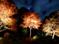 [夜景][紅葉]六義園ライトアップ