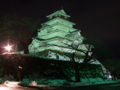 [夜景][城郭]会津若松城天守ライトアップ