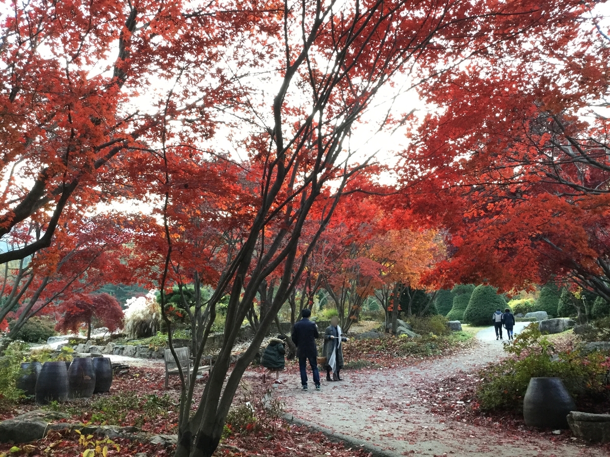 アチムゴヨ樹木園