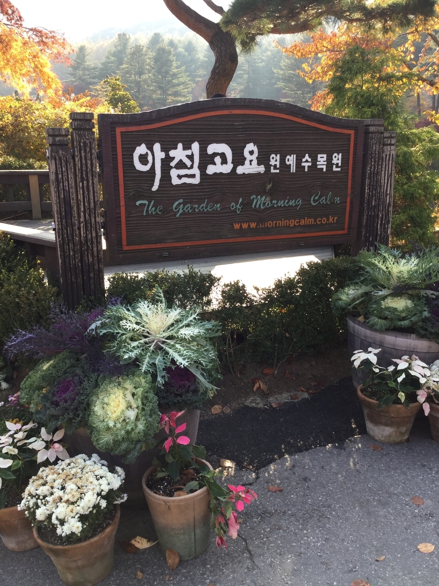 韓国旅行　アチムゴヨ樹木園